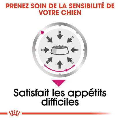 Royal Canin Exigent - pâtée chien