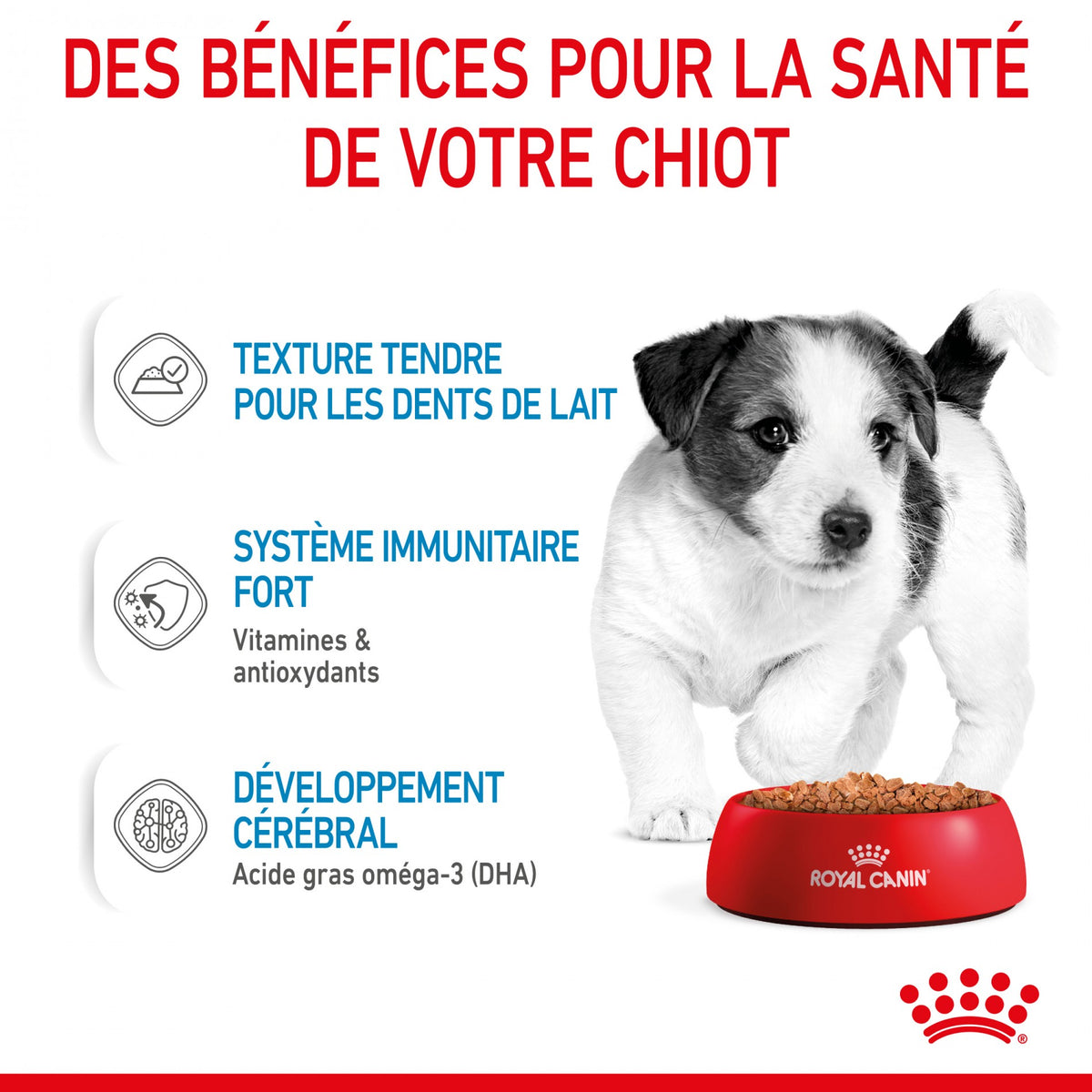Royal Canin Mini Puppy - pâtée chiot