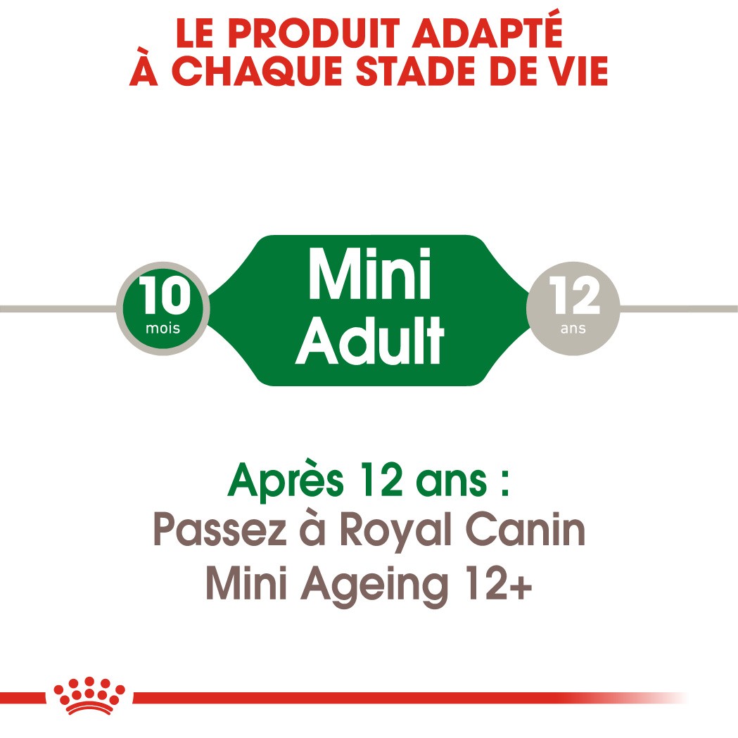 Royal Canin Mini Adult - pâtée chien