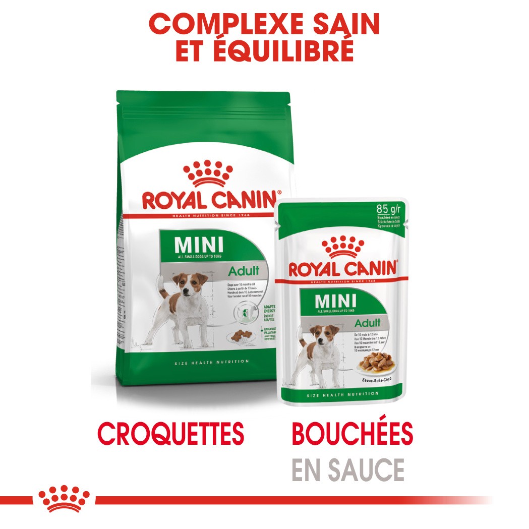 Royal Canin Mini Adult - pâtée chien