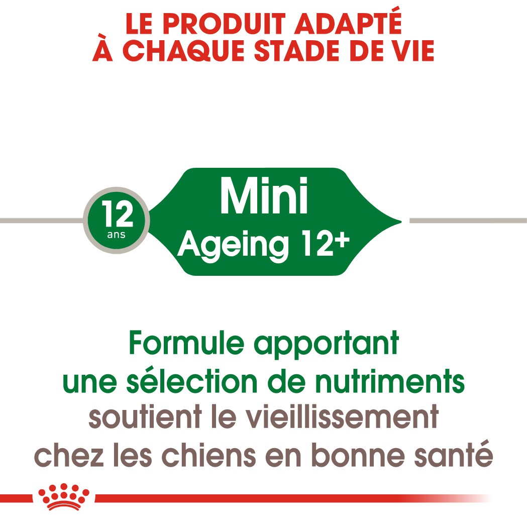 Royal Canin Mini Ageing 12 - pâtée chien