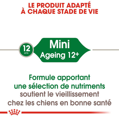Royal Canin Mini Ageing 12 - pâtée chien