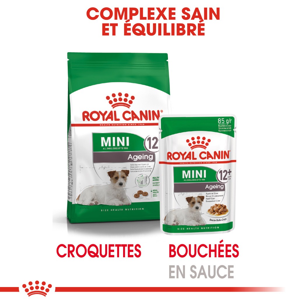 Royal Canin Mini Ageing 12 - pâtée chien