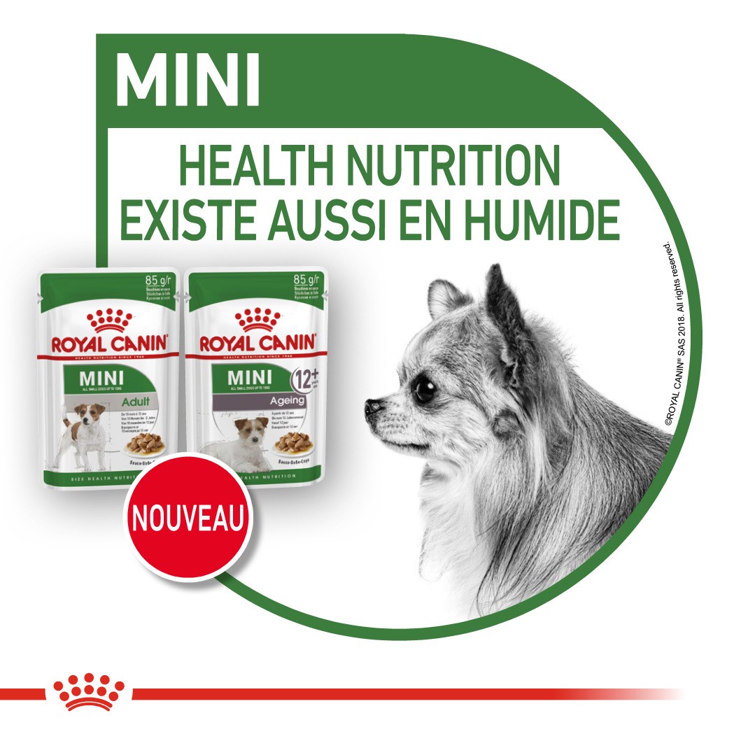 Royal Canin Mini Ageing 12 - pâtée chien