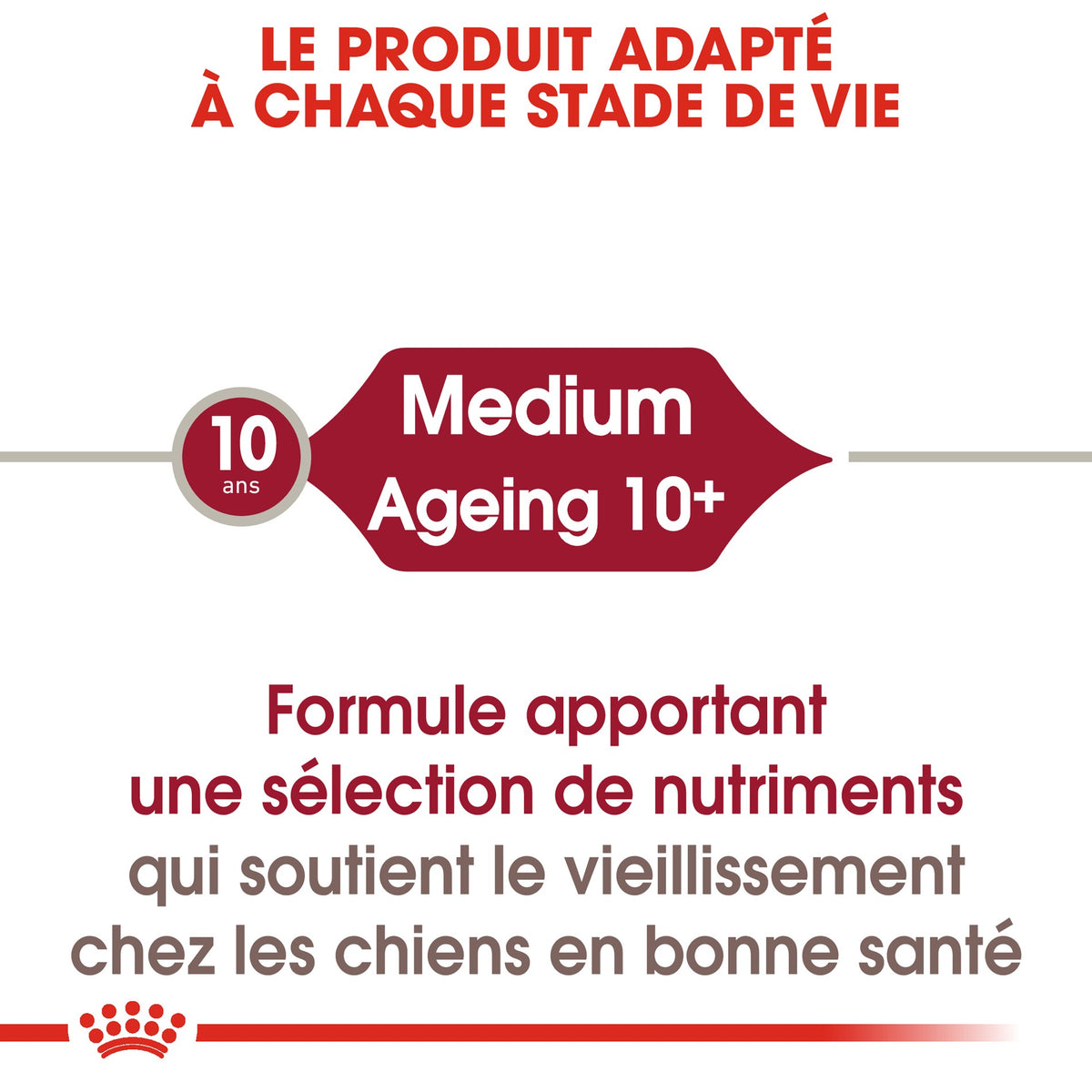 Royal Canin Medium Ageing 10+ en sauce - pâtée chien