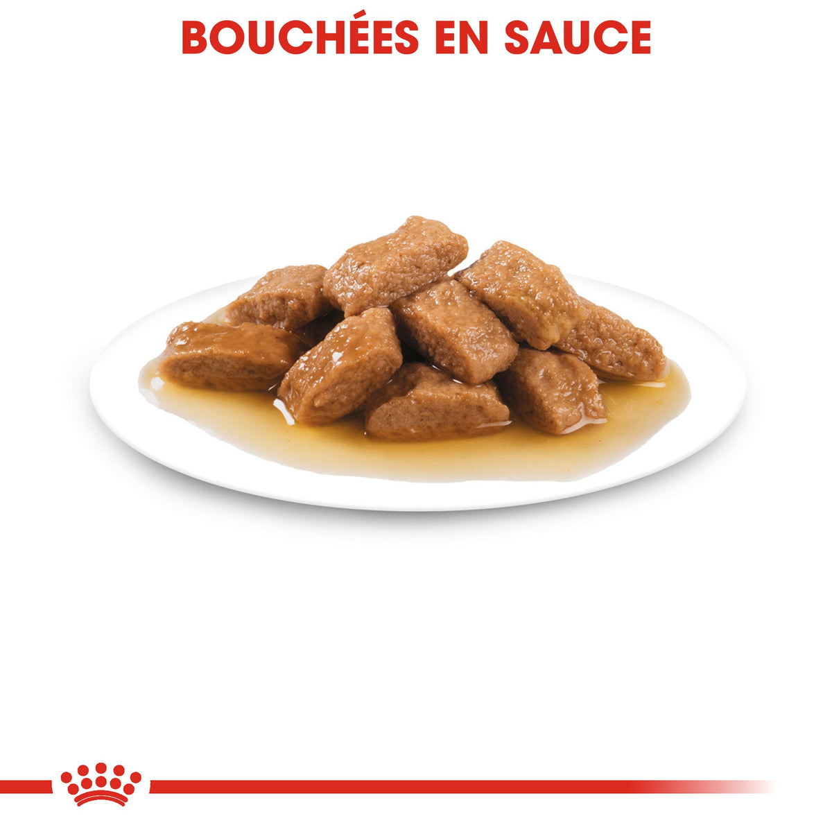 Royal Canin Medium Ageing 10+ en sauce - pâtée chien