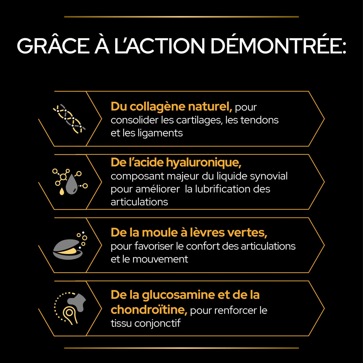 Pro Plan Mobility+ aliment complémentaire en poudre chien