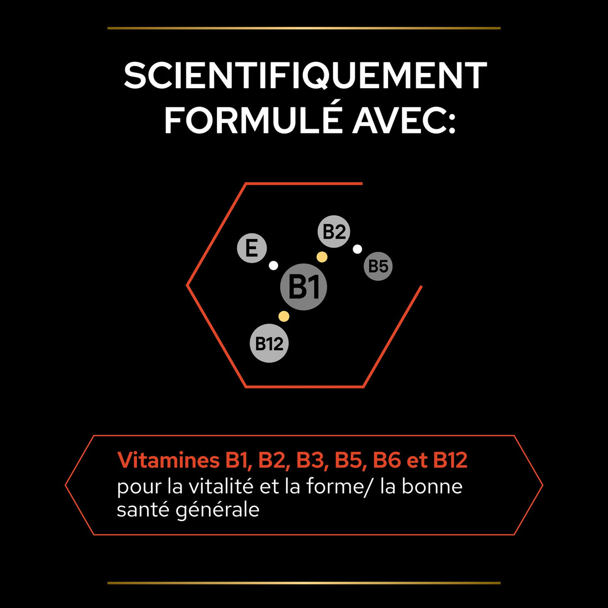 Pro Plan Multi Vitamins+ en comprimés chien