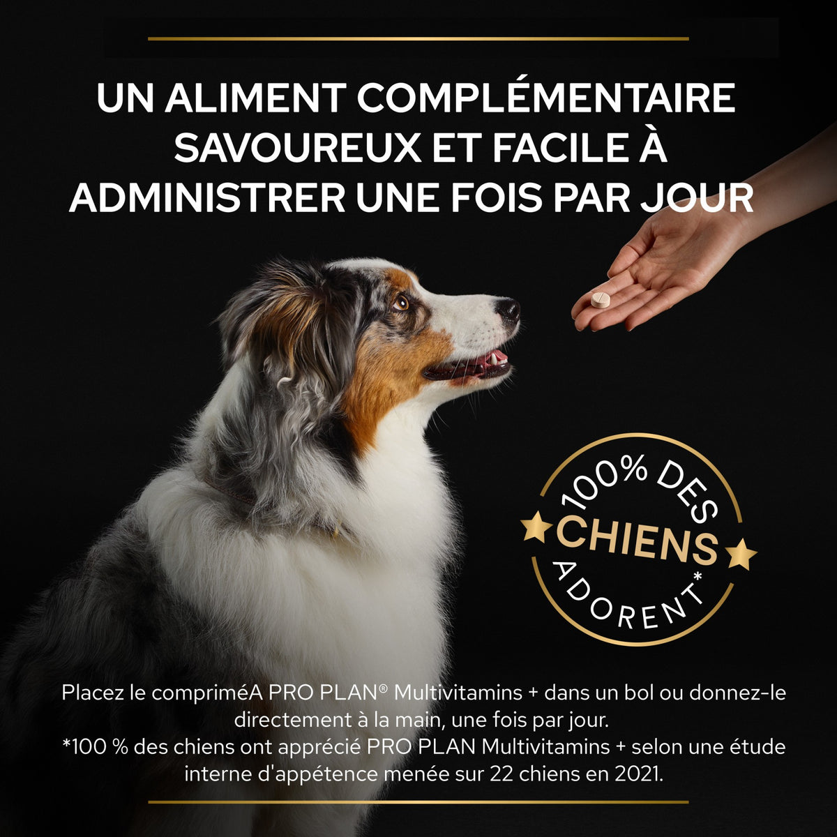 Pro Plan Multi Vitamins+ en comprimés chien