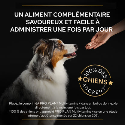 Pro Plan Multi Vitamins+ en comprimés chien