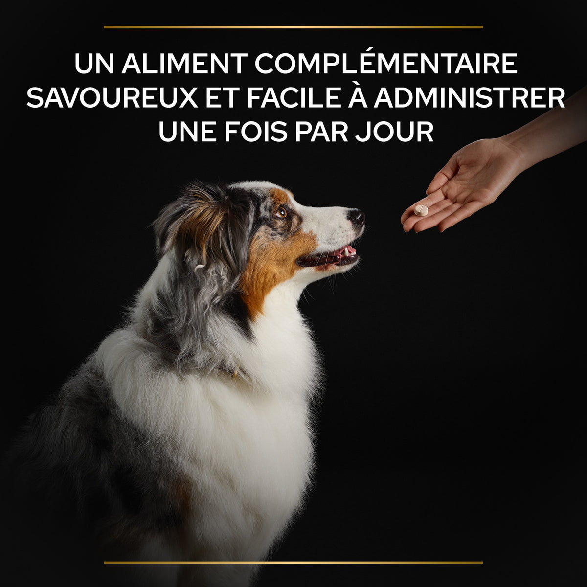 Pro Plan® Natural Defenses+ en comprimés chien