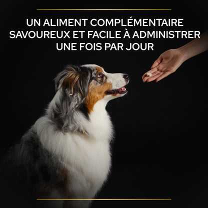 Pro Plan® Natural Defenses+ en comprimés chien