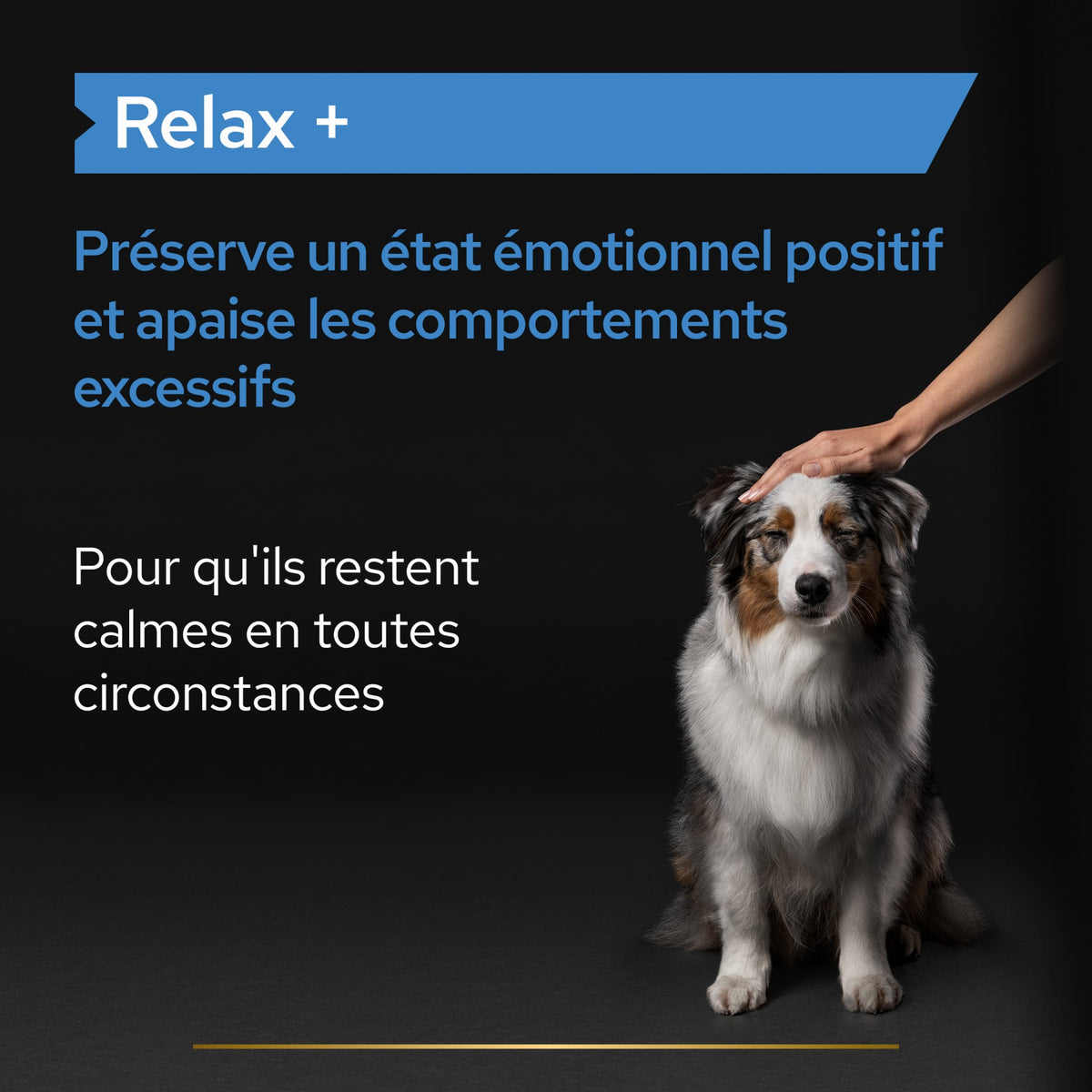 Pro Plan Relax+ en huile chien