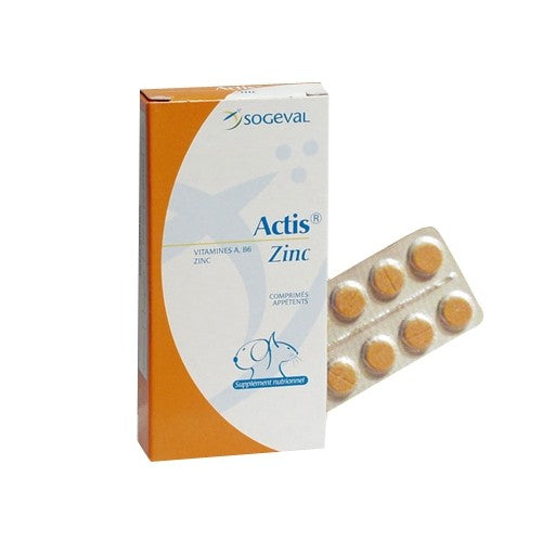 Actis Zinc chat, chien