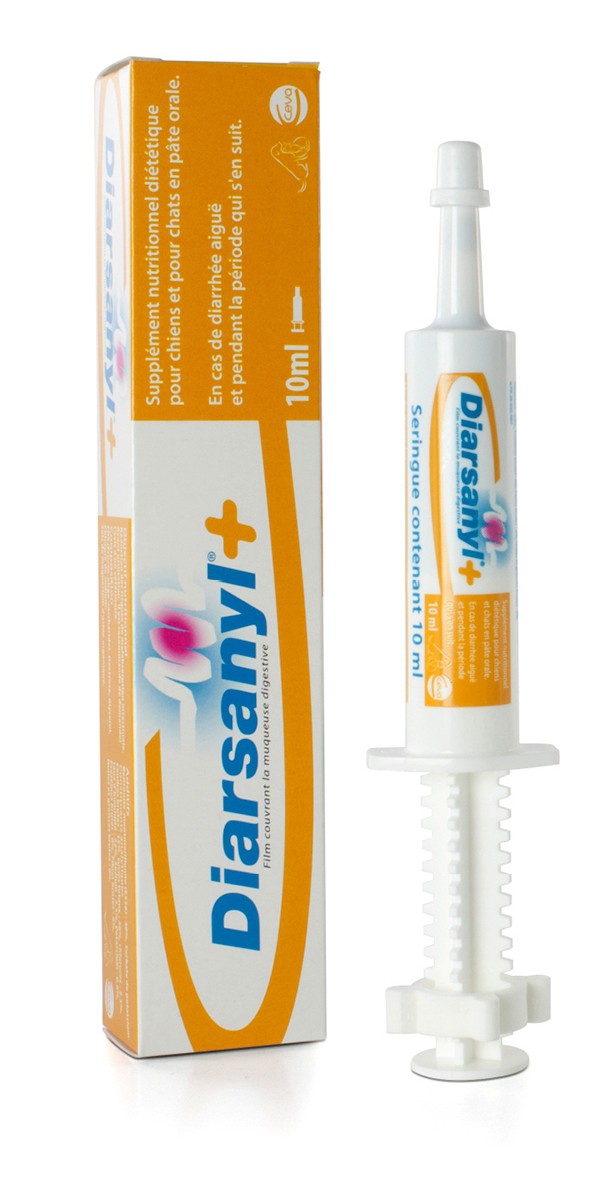 Diarsanyl chat, chien