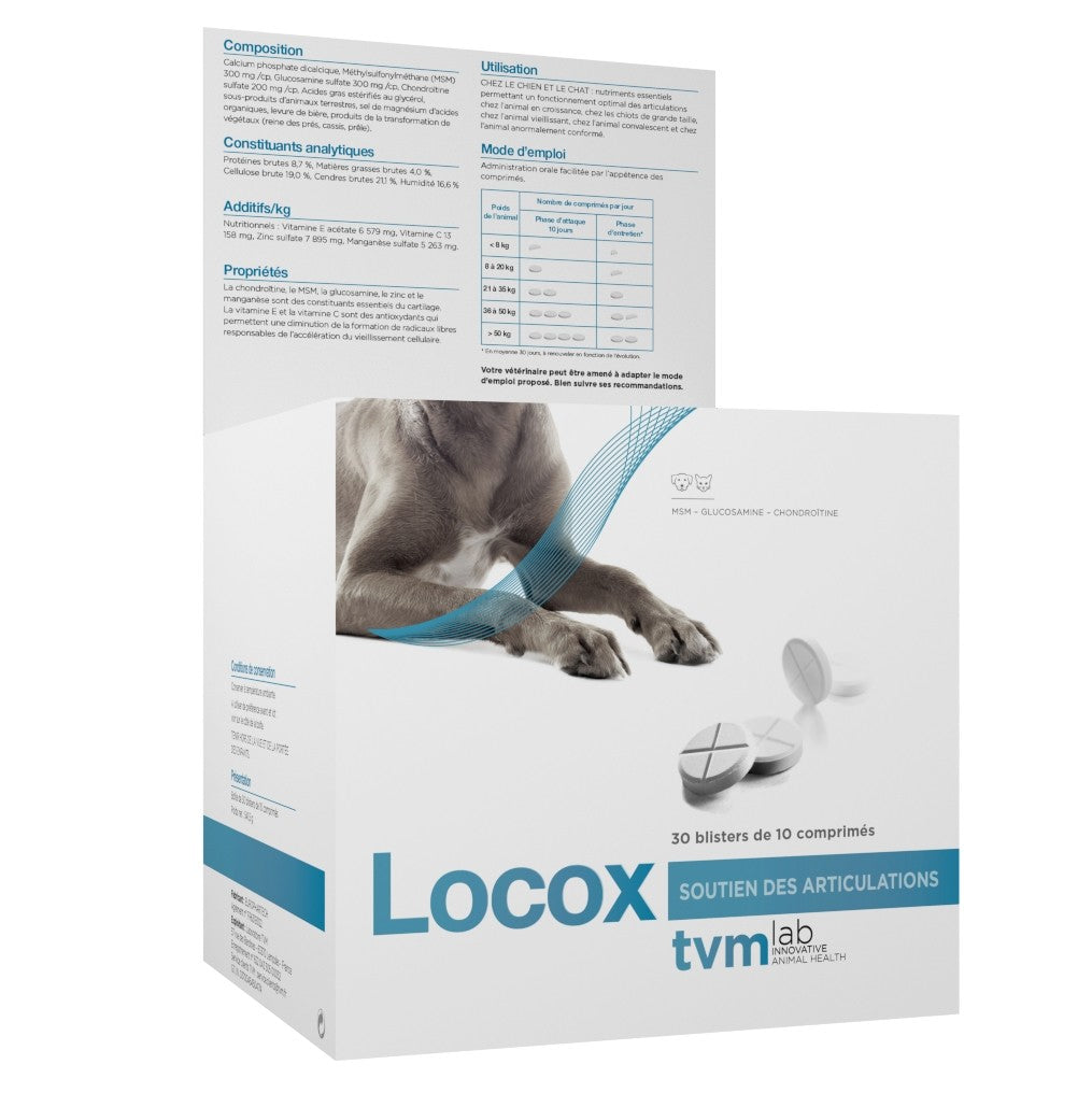 Locox - chien, chat