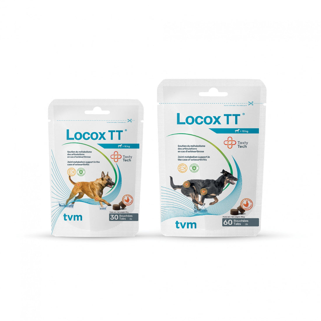 Locox TT chien