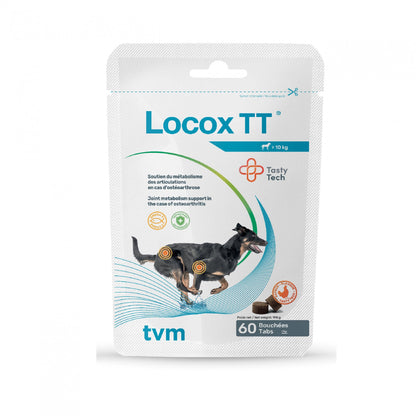 Locox TT chien