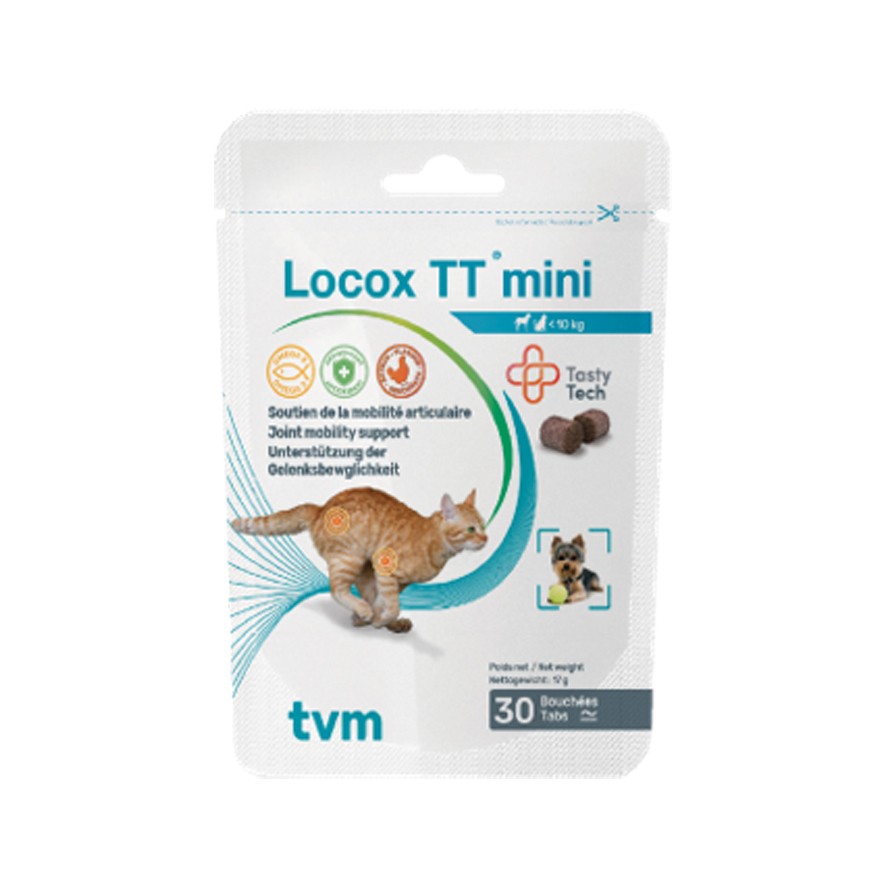 Locox TT mini chat, chien