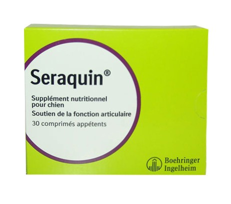Seraquin chien