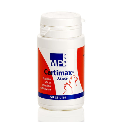 Cartimax chat, chien