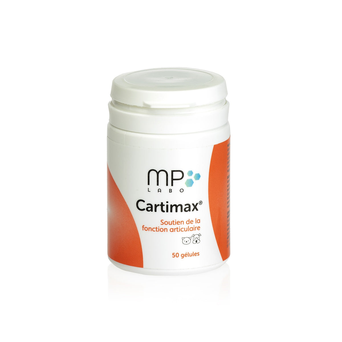 Cartimax chat, chien