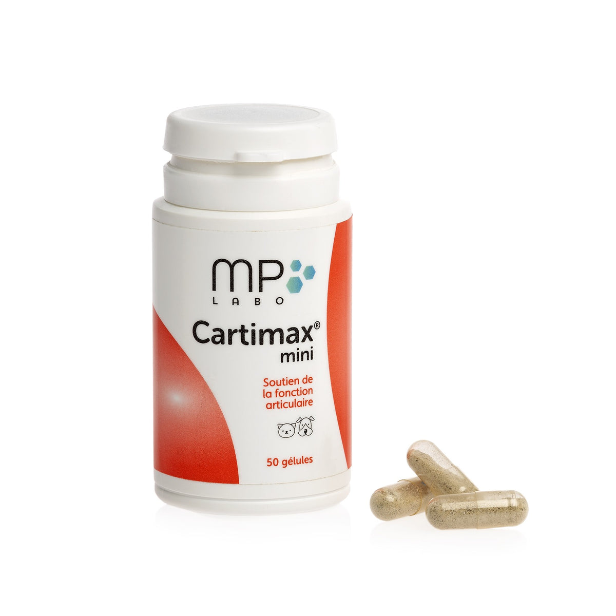 Cartimax chat, chien