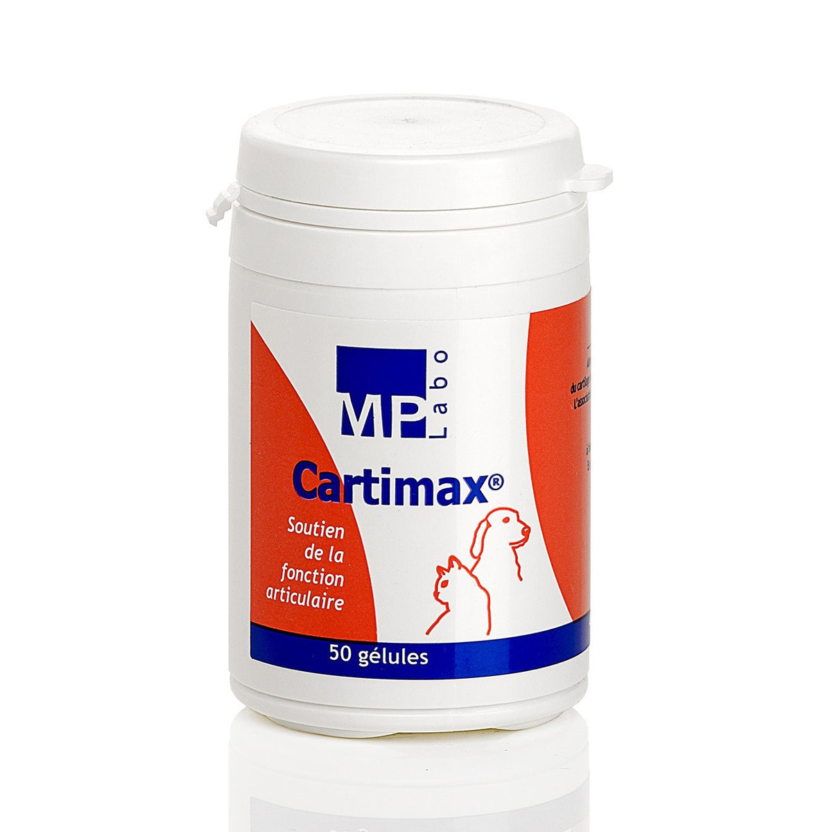 Cartimax chat, chien