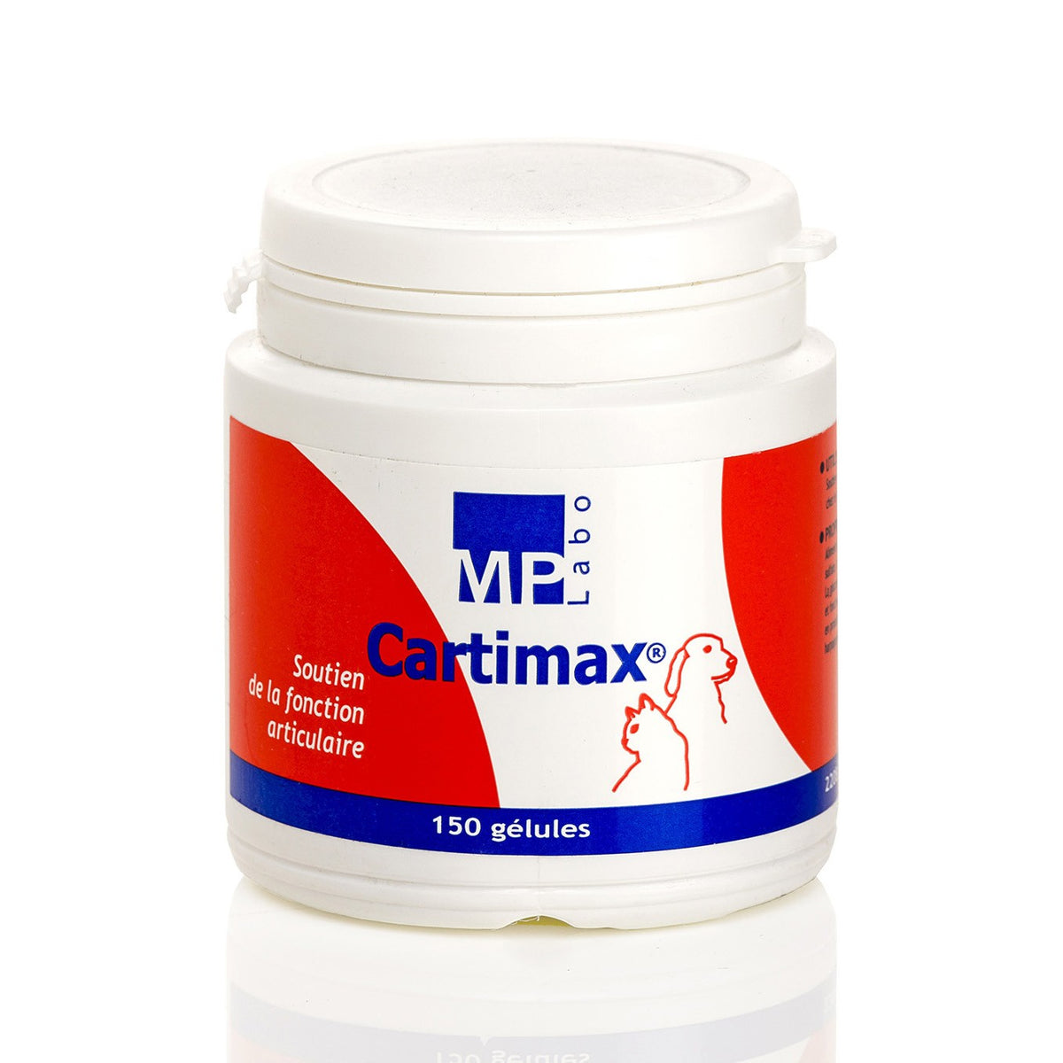 Cartimax chat, chien