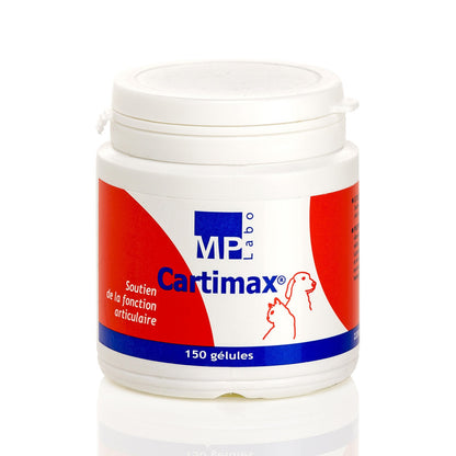 Cartimax chat, chien