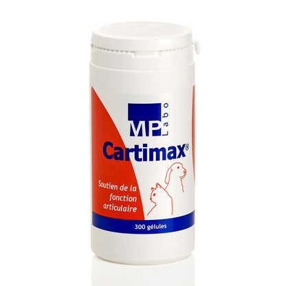 Cartimax chat, chien
