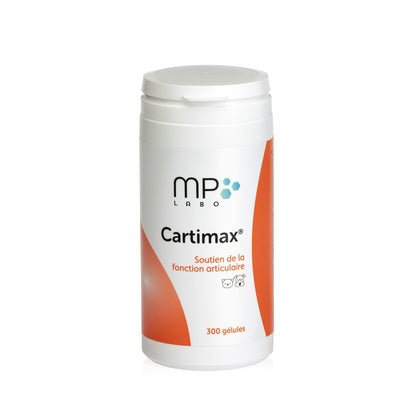 Cartimax chat, chien