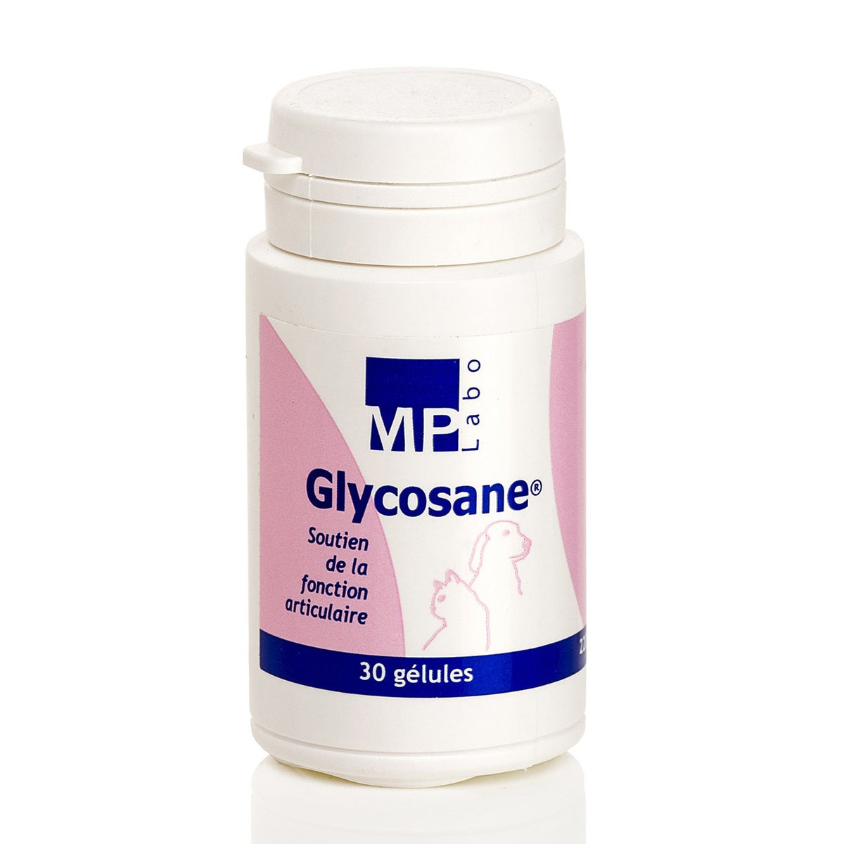 Glycosane chat, chien