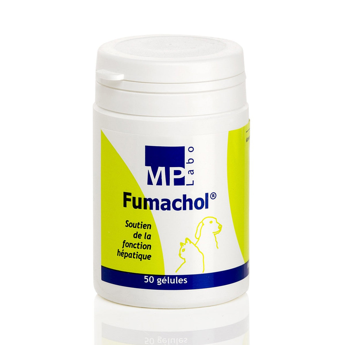 Fumachol chat, chien