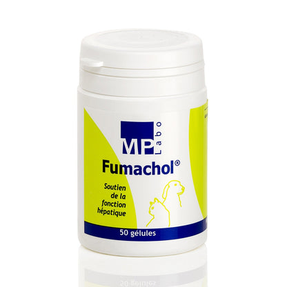 Fumachol chat, chien