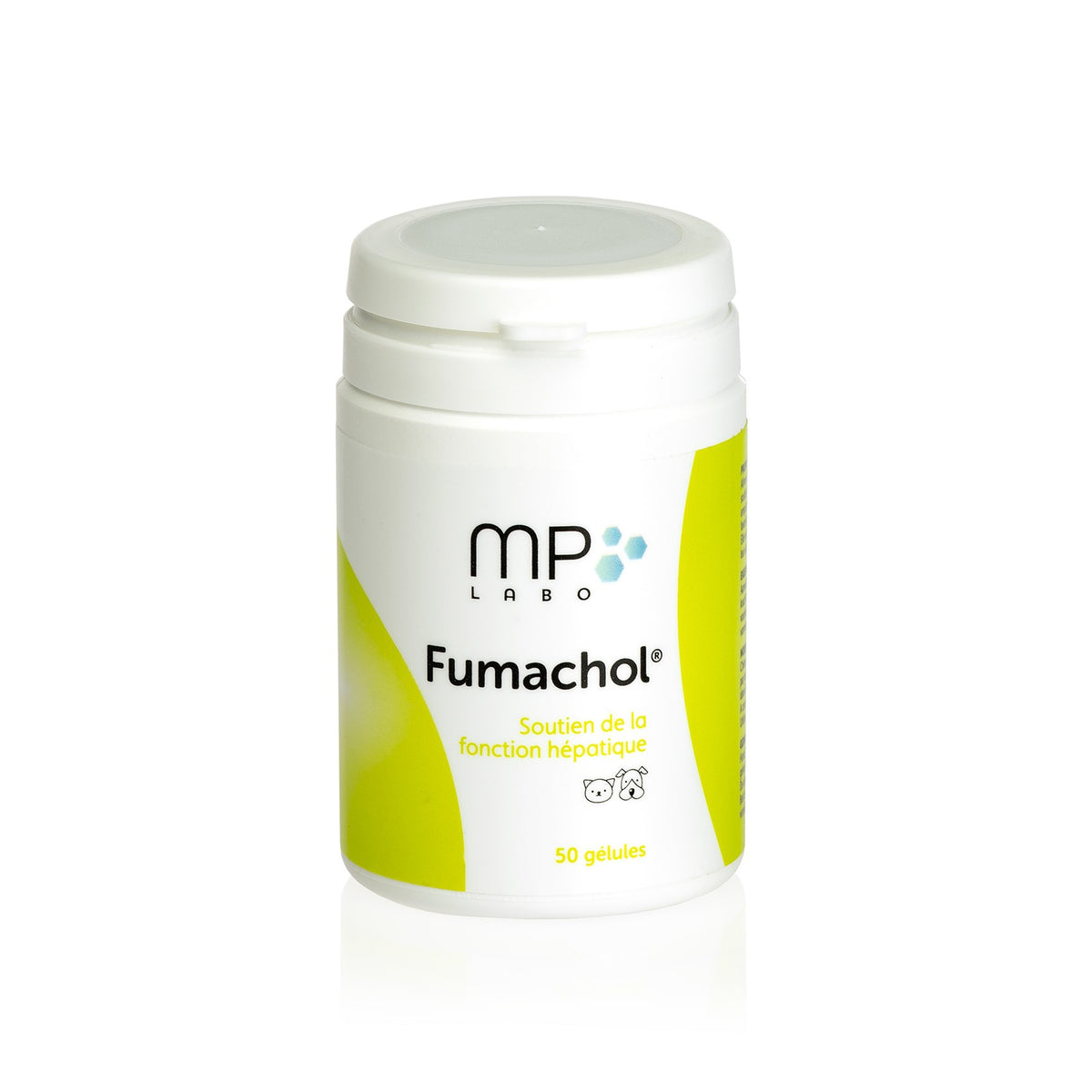 Fumachol chat, chien