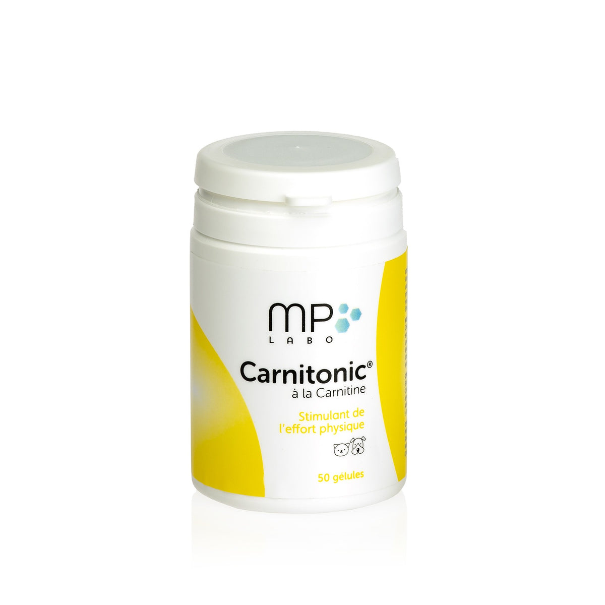 Carnitonic chat, chien