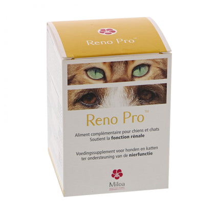Reno Pro chat, chien