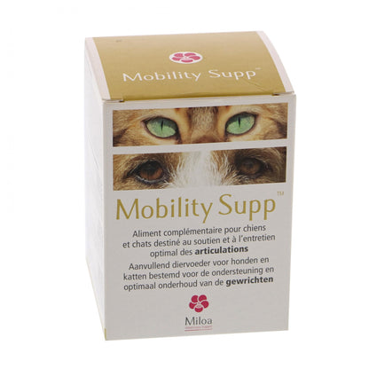 Mobility Supp chat, chien