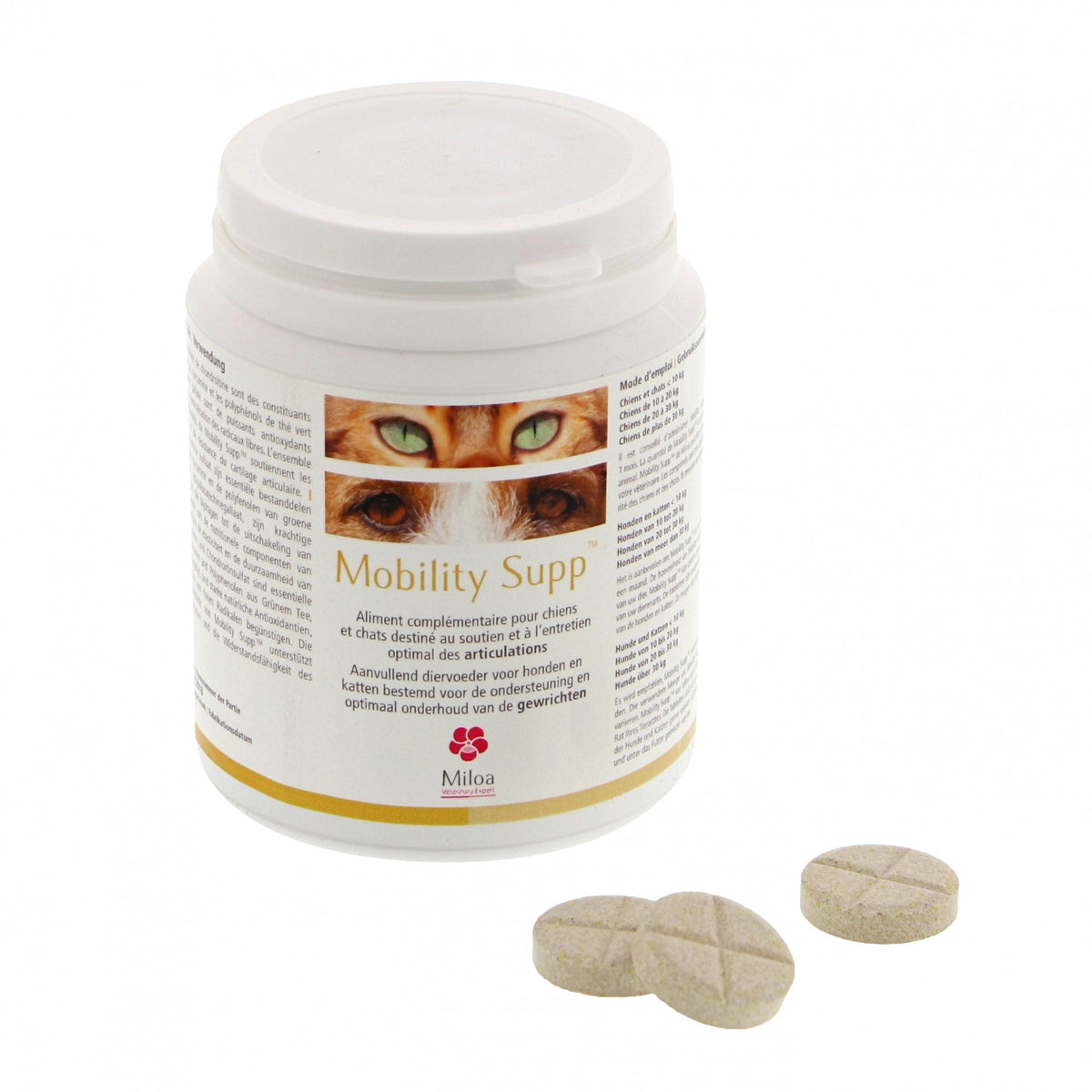 Mobility Supp chat, chien