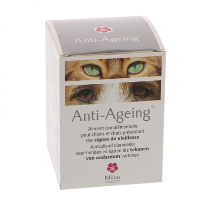 Anti-Ageing chien, chat