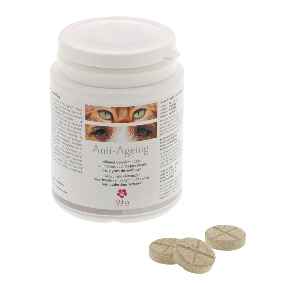 Anti-Ageing chien, chat