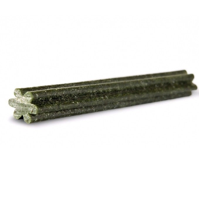 Dental Sticks chien