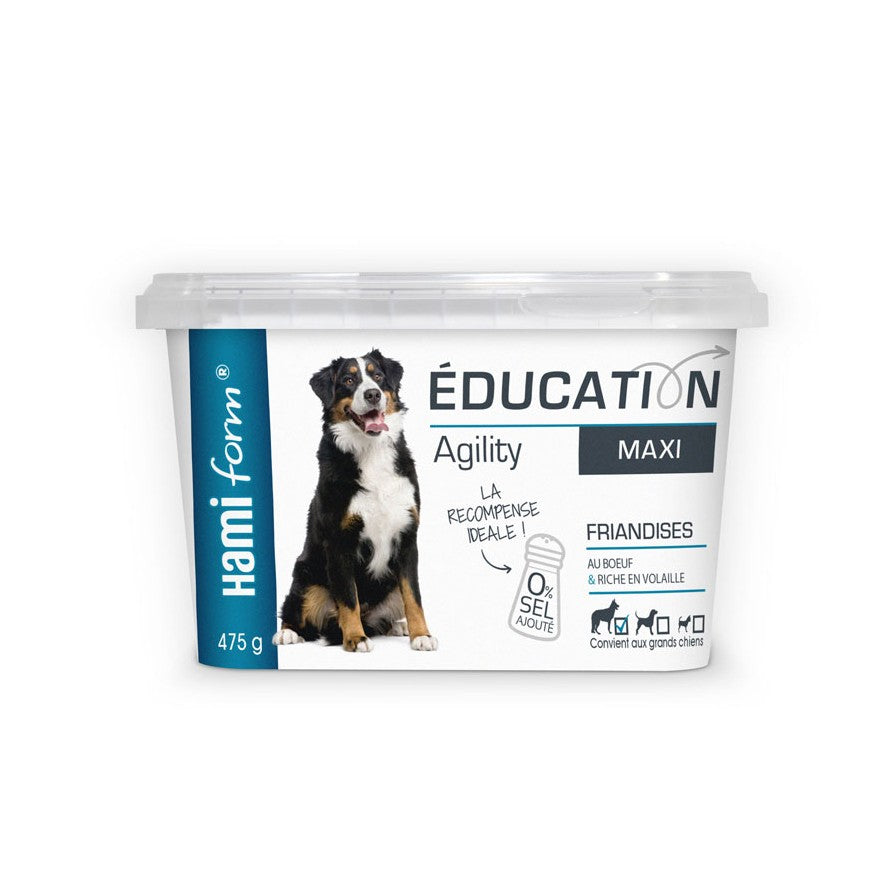 Snacks Éducation chien