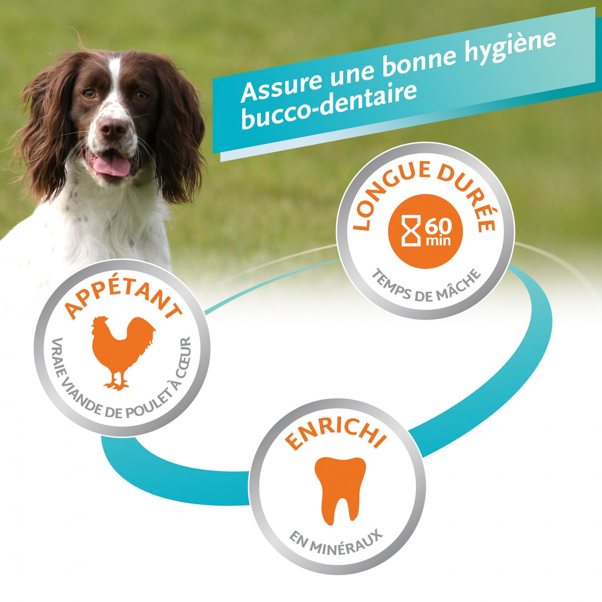 Os à mâcher Delights Pro, contre la plaque dentaire chien