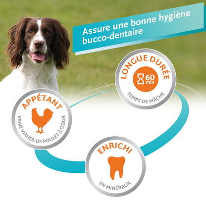 Os à mâcher Delights Pro, contre la plaque dentaire chien