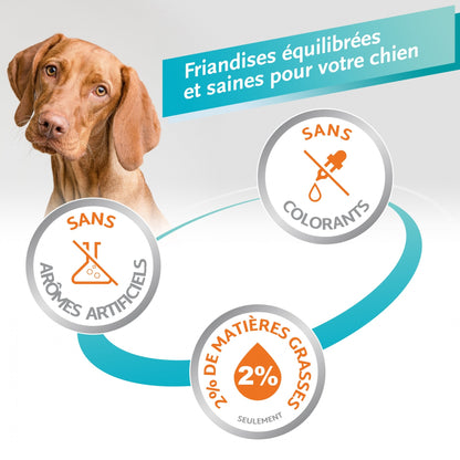 Os à mâcher Delights Pro, contre la plaque dentaire chien