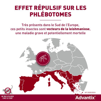 Pipettes Advantix chien