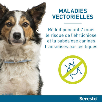 Collier Antiparasitaire Seresto Chien