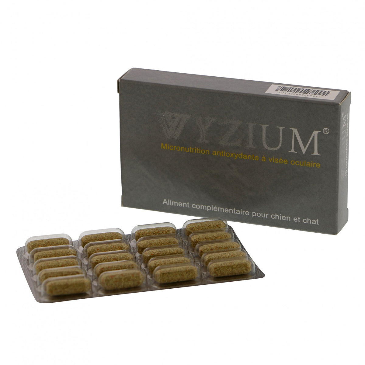 Wyzium chien, chat